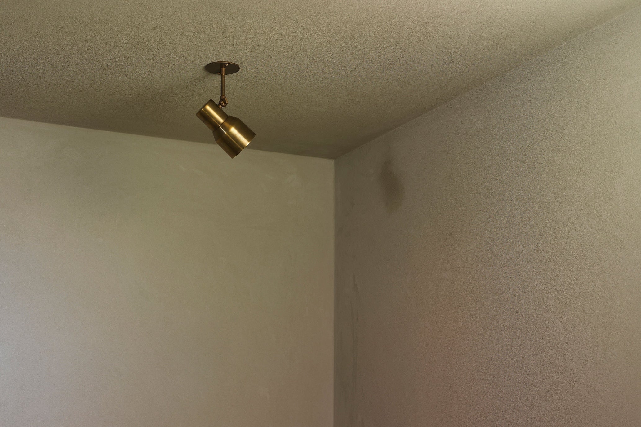brass adjustable spot